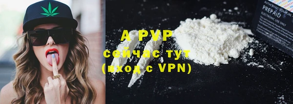 ПСИЛОЦИБИНОВЫЕ ГРИБЫ Пересвет