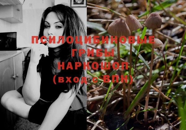 ПСИЛОЦИБИНОВЫЕ ГРИБЫ Пересвет