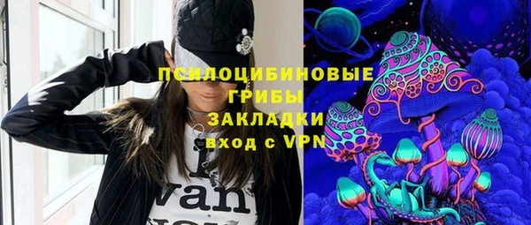 стафф Гатчина