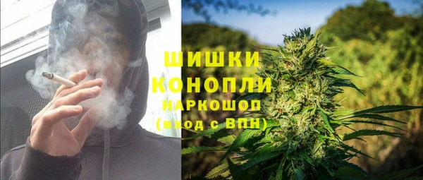 ПСИЛОЦИБИНОВЫЕ ГРИБЫ Пересвет