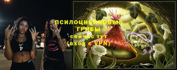 ПСИЛОЦИБИНОВЫЕ ГРИБЫ Пересвет