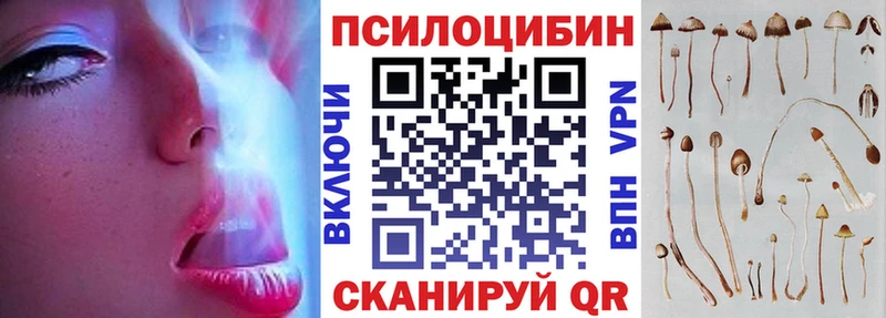 где купить наркотик  Туапсе  Псилоцибиновые грибы Psilocybe 
