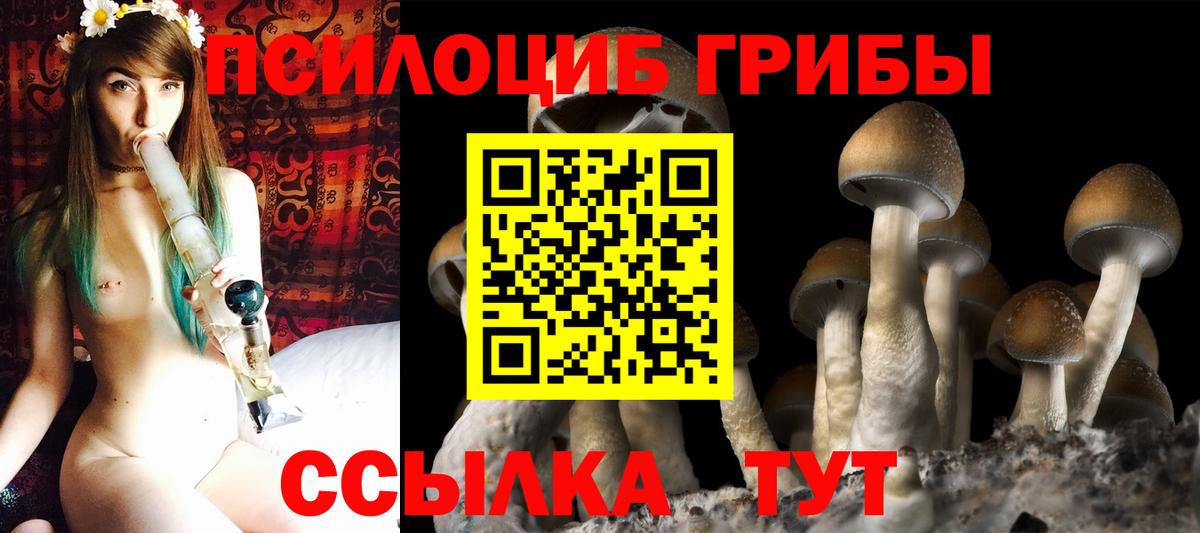 Псилоцибиновые грибы прущие грибы  Вход с VPN  Туапсе 