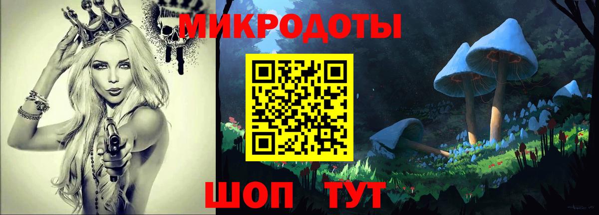 Галлюциногенные грибы Psilocybe Туапсе